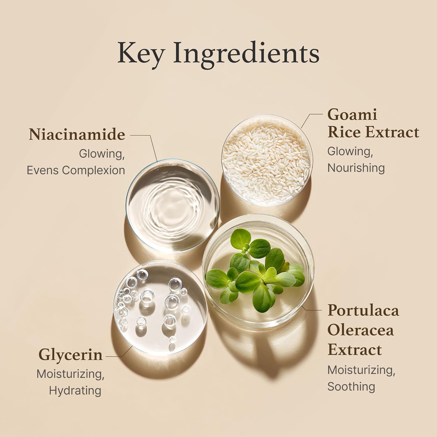 I'm from Rice Toner 150 ml